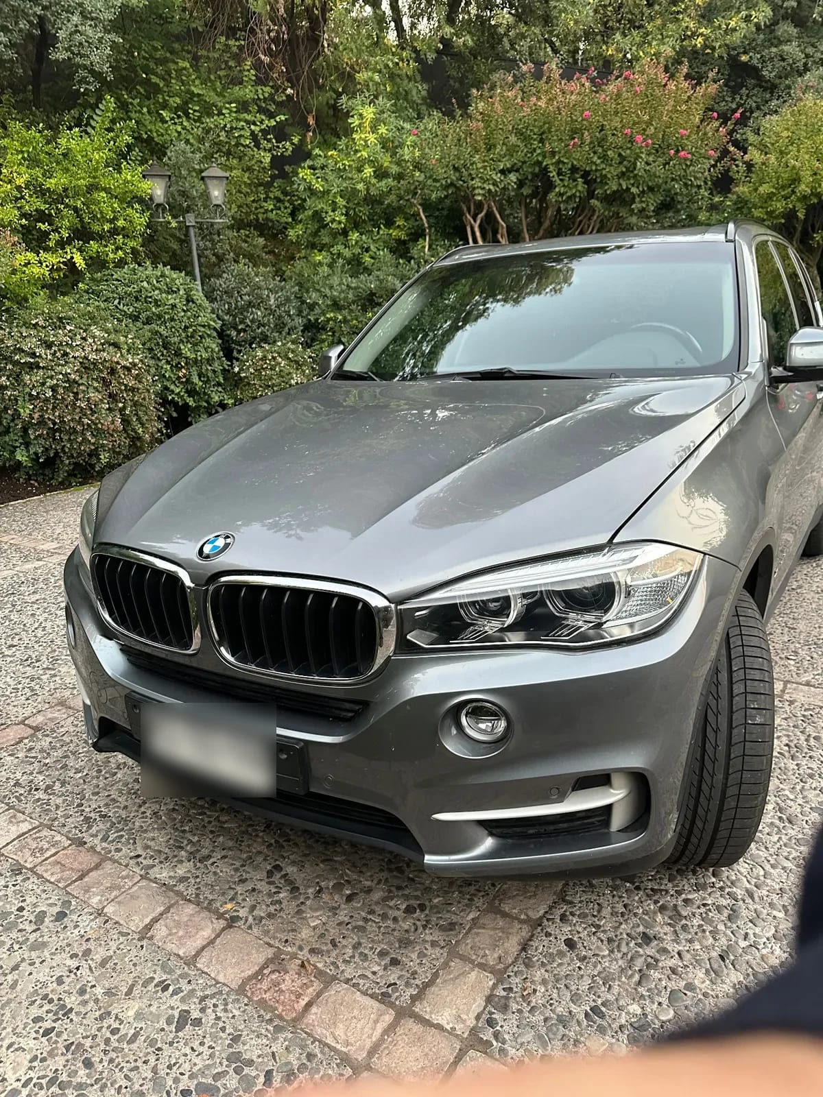 Bmw X5 3.0 Xdrive35i Executive Techo At año 2018