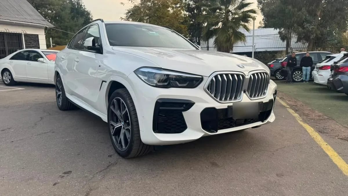 BMW X6 Xdrive 30d 4x4 5p 3.0 Aut año 2023