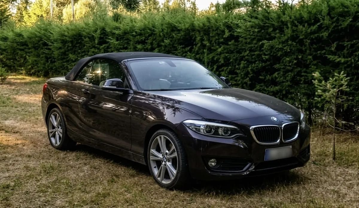 BMW 220 2.0 I Cabrio At año 2019