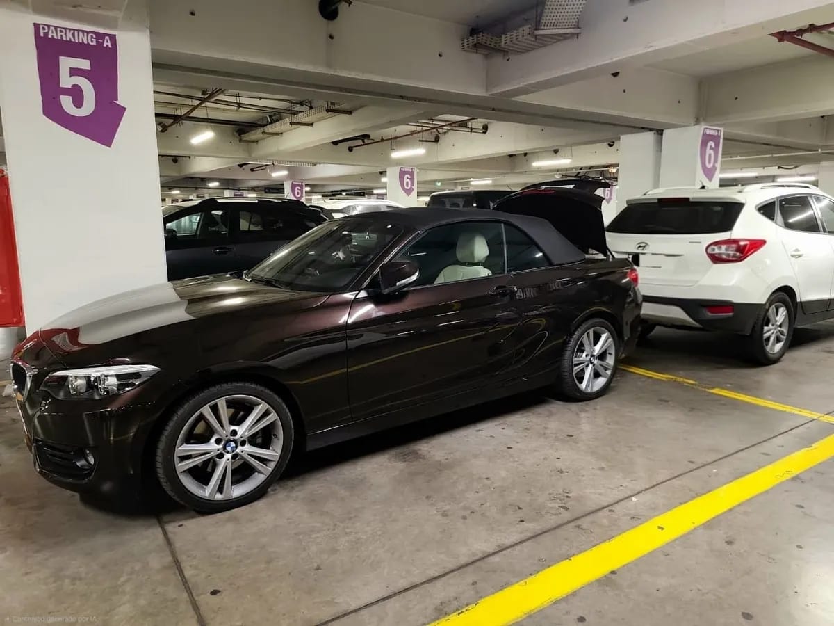 BMW 220 2.0 I Cabrio At año 2019