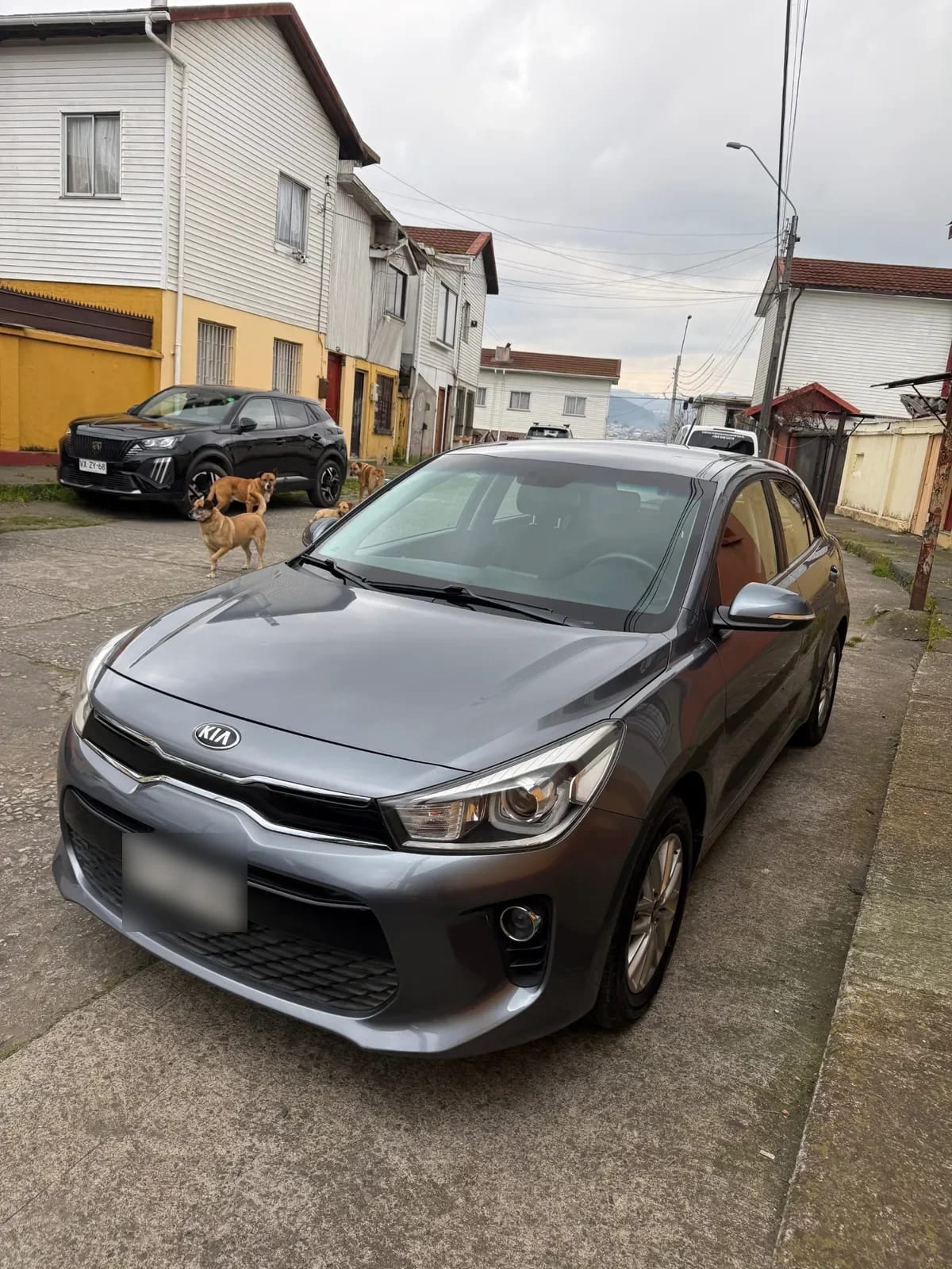 KIA MOTORS RIO 5 1.4 Ex Full Mt año 2019