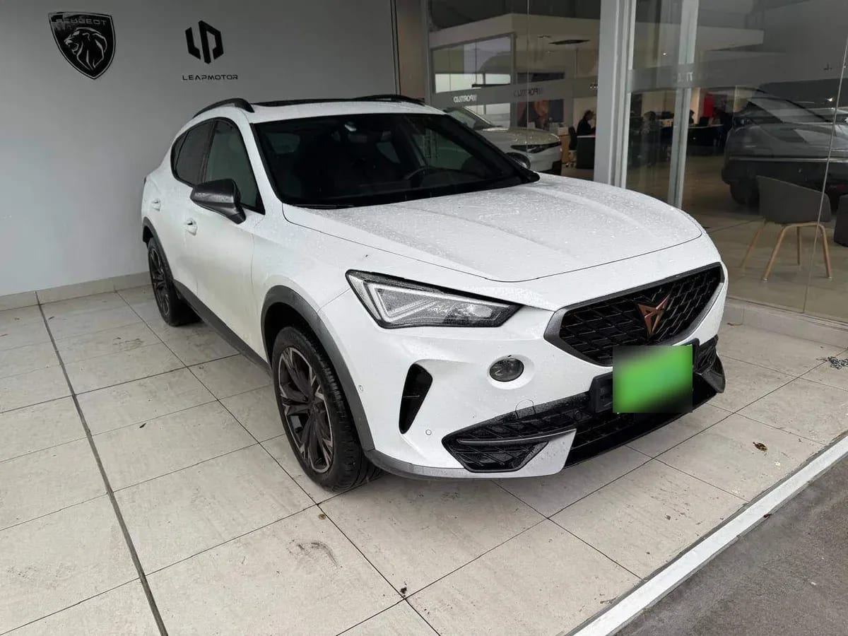Cupra Formentor 2.0 Tsi 4x2 At 5p año 2024