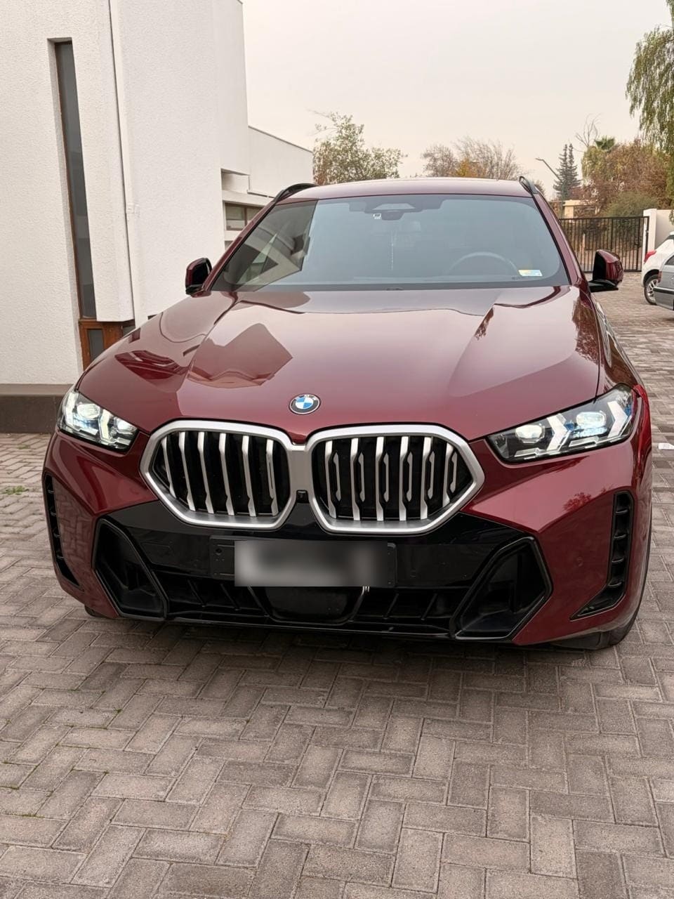 BMW X6 3.0 Xdrive 30d M Sport At 4x4 Diesel año 2024