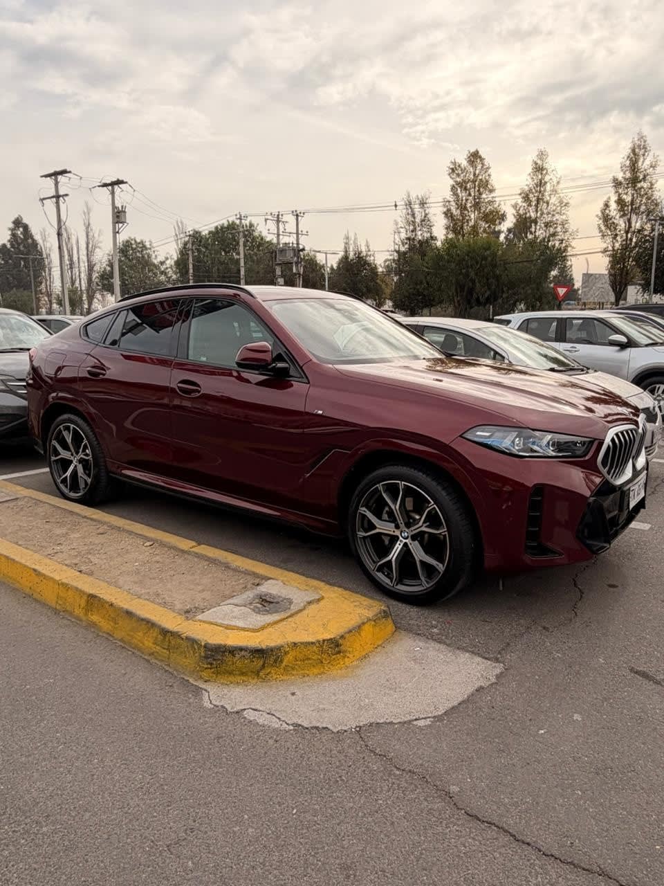 BMW X6 3.0 Xdrive 30d M Sport At 4x4 Diesel año 2024