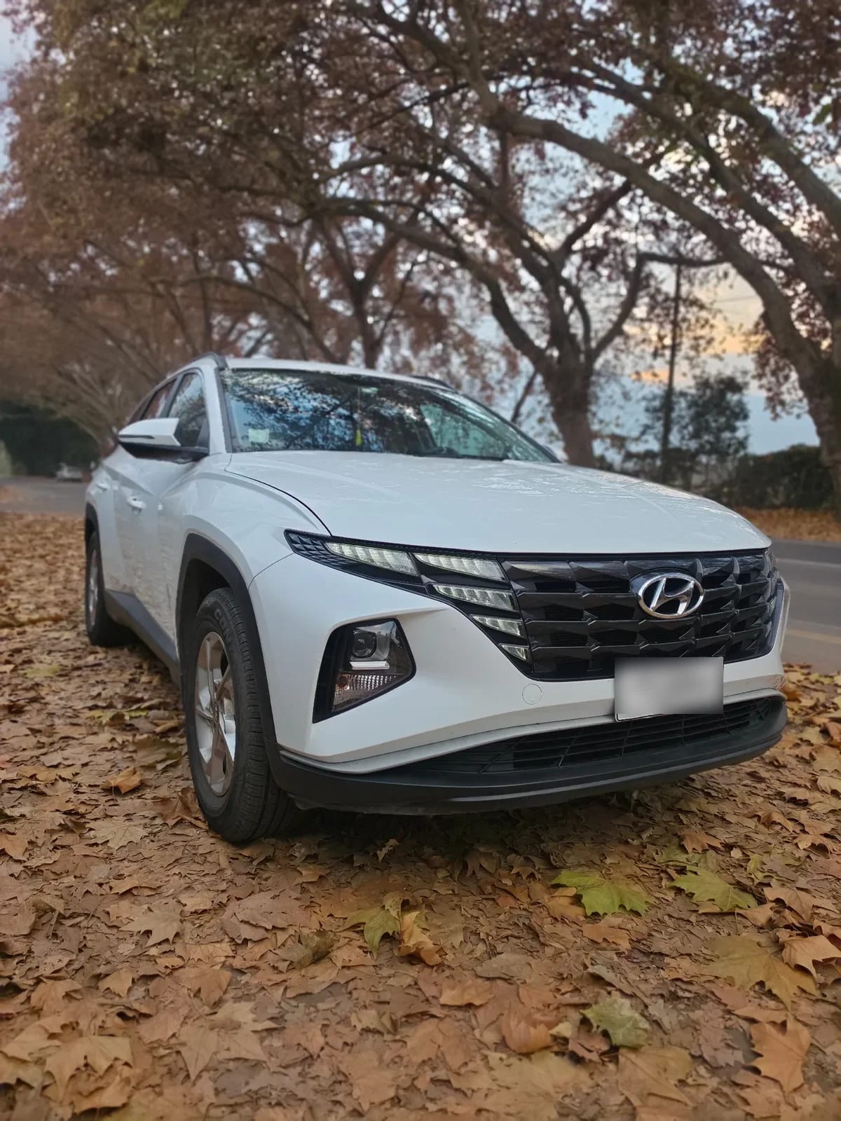 Hyundai Tucson 2.0 Nx4 Plus At 4x4 año 2023
