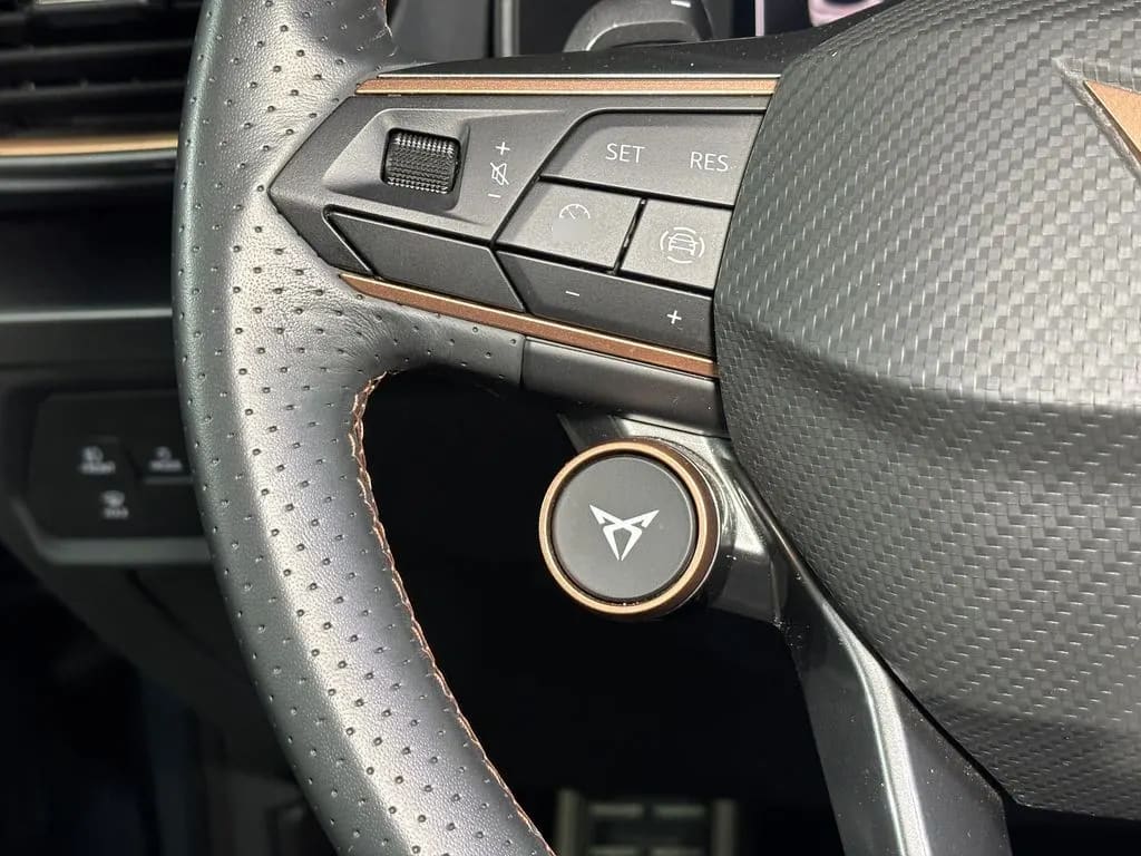 Cupra Formentor Pa 4x4 2.0 Aut año 2025