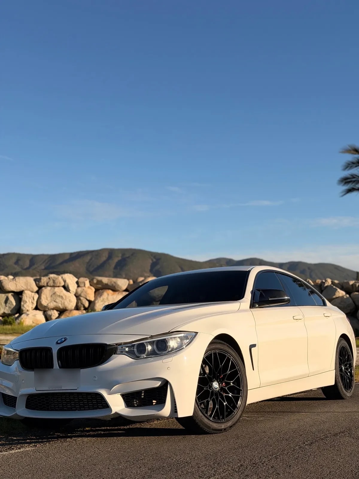 BMW 420 2.0 I Cabrio M Sport At año 2016