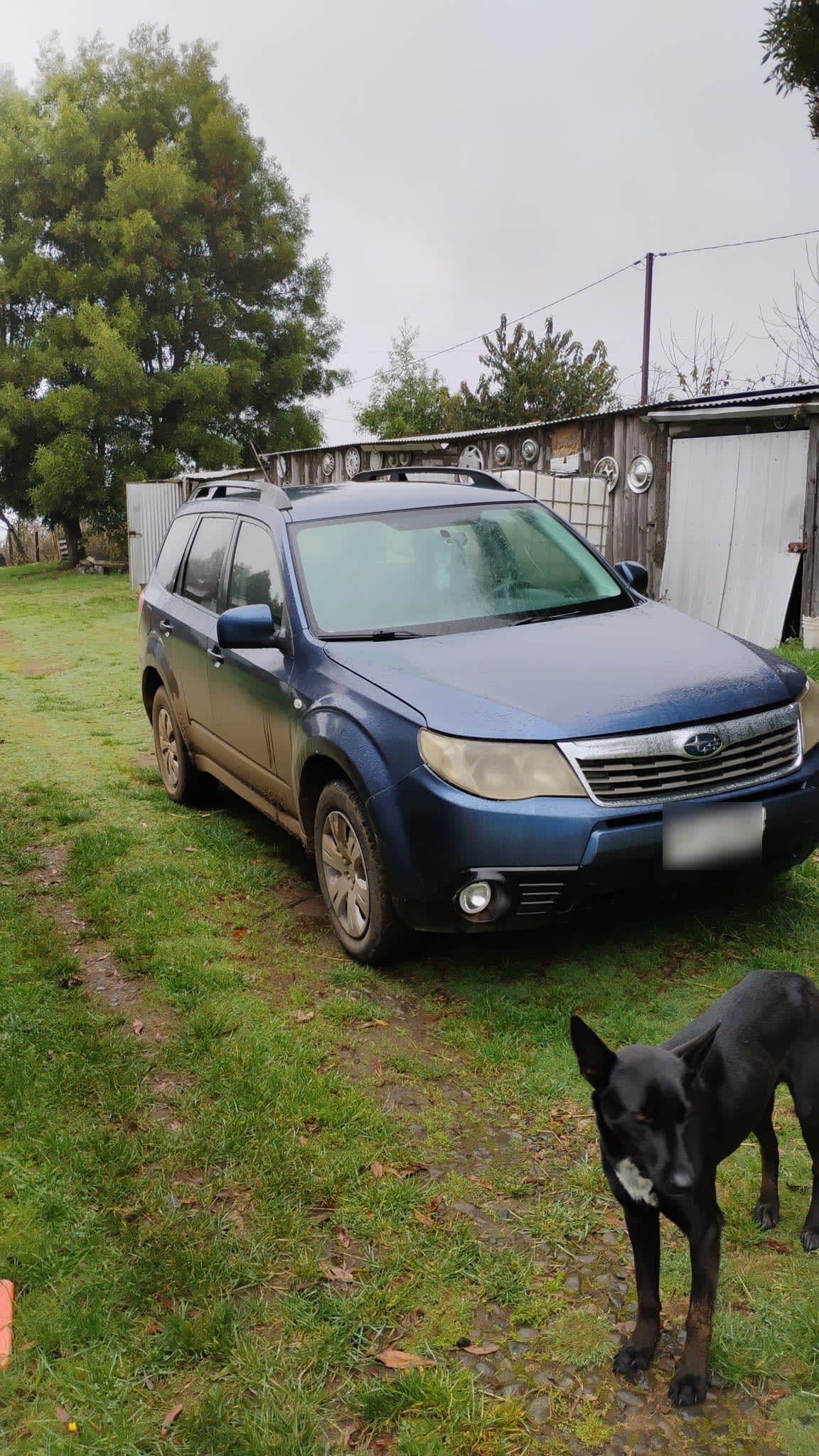 SUBARU FORESTER 2.0 Cvt X At 4x4 año 2013