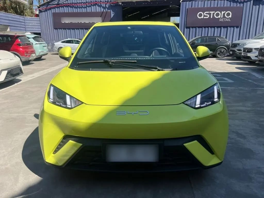 BYD Dolphin Mini Gs año 2024
