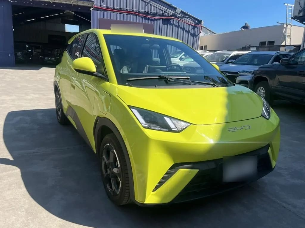 BYD Dolphin Mini Gs año 2024
