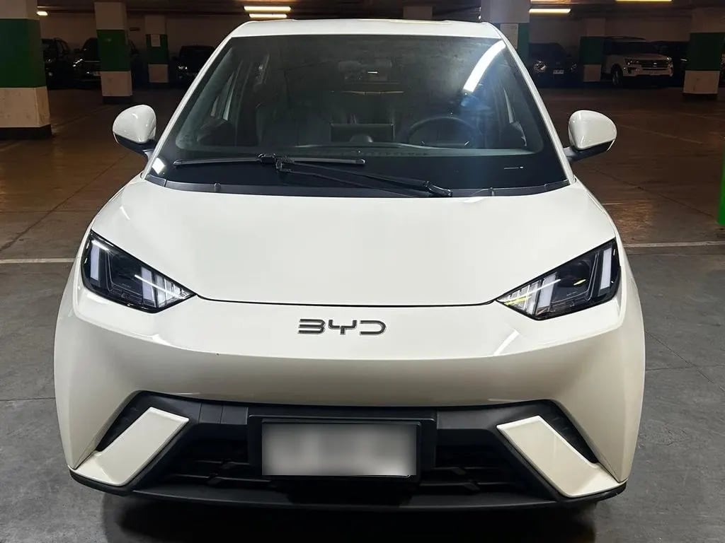 BYD Dolphin Mini Mini Gs Aut año 2024