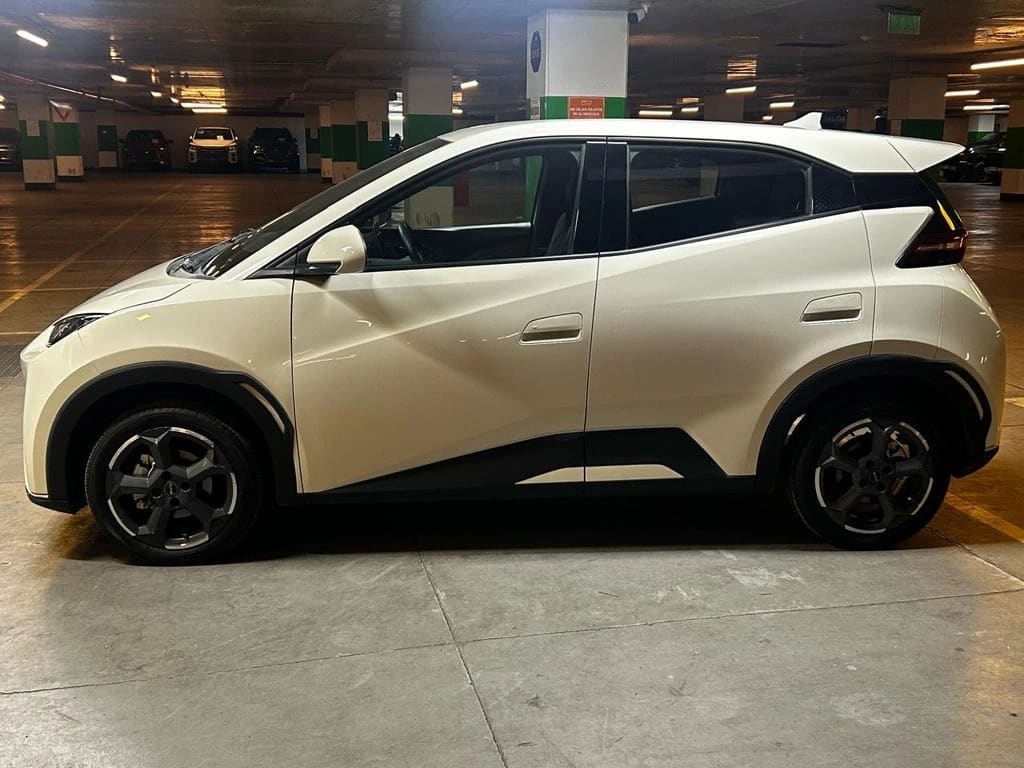 BYD Dolphin Mini Mini Gs Aut año 2024
