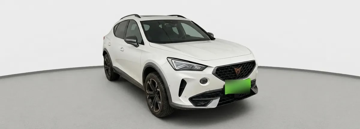Cupra Formentor 2.0 Tsi 4x2 At 5p año 2024