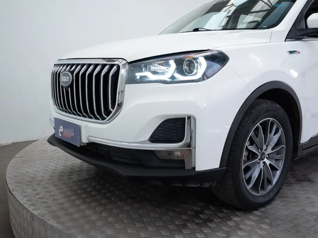 SWM G05 G05 1.5 Pro Luxury Mt año 2024