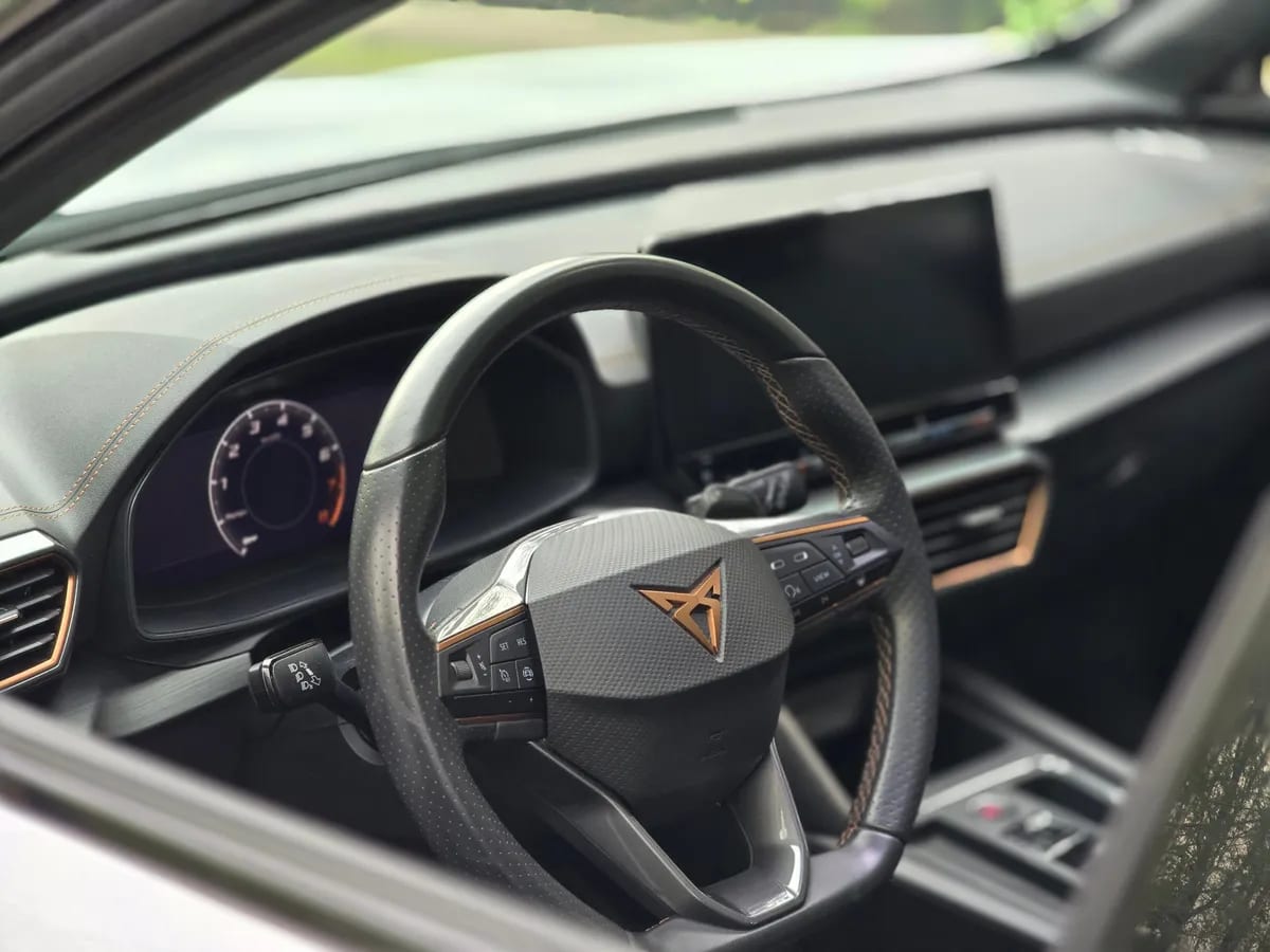 Cupra FORMENTOR 2.0 Tsi Dsg7 At año 2022