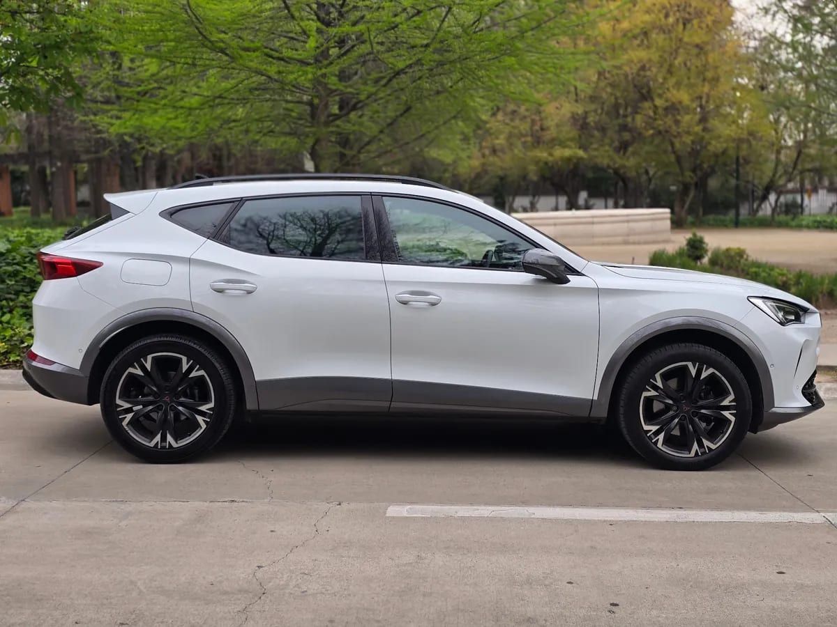 Cupra FORMENTOR 2.0 Tsi Dsg7 At año 2022