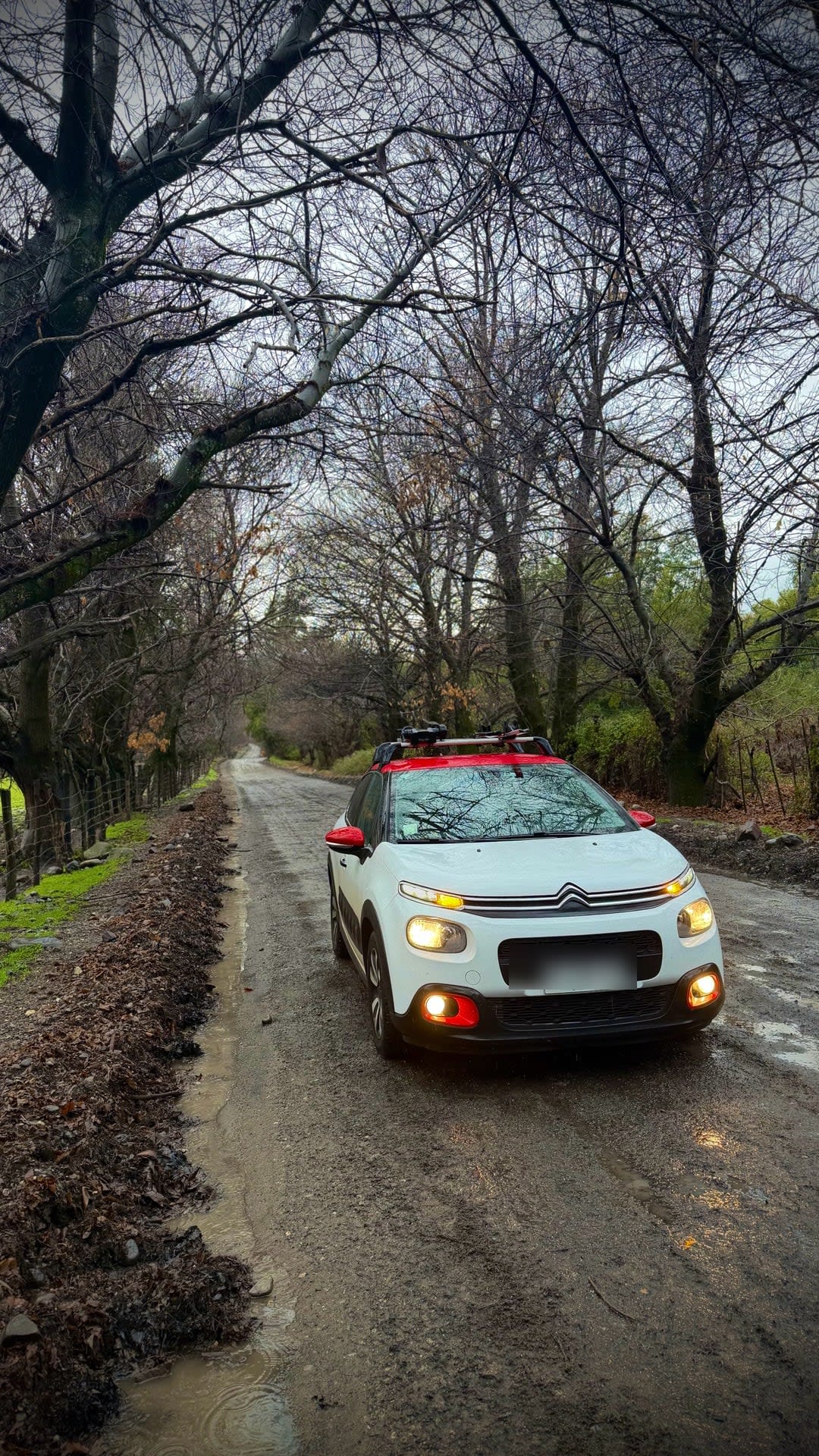 Citroen C-3 1.6 Bluehdi 100 S&s Bvm Shine Connectedcam Mt Diesel año 2019 Citroen C-3 1.6 Bluehdi 100 S&s Bvm Shine Connectedcam Mt Diesel año 2019