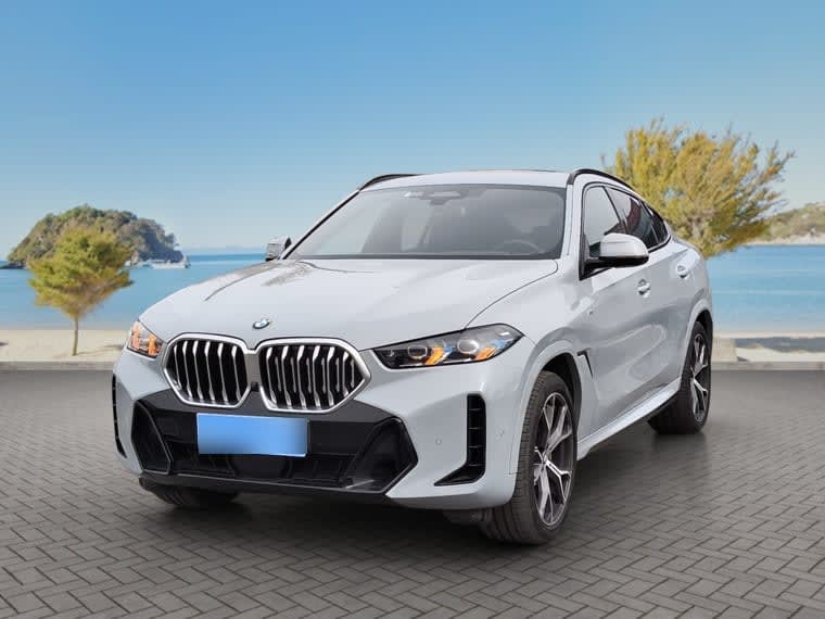 BMW X6 Xdrive30d M Sport año 2024
