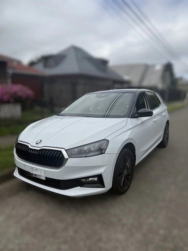 SKODA FABIA 1.0 Tsi Ambition Mt año 2023 SKODA FABIA 1.0 Tsi Ambition Mt año 2023